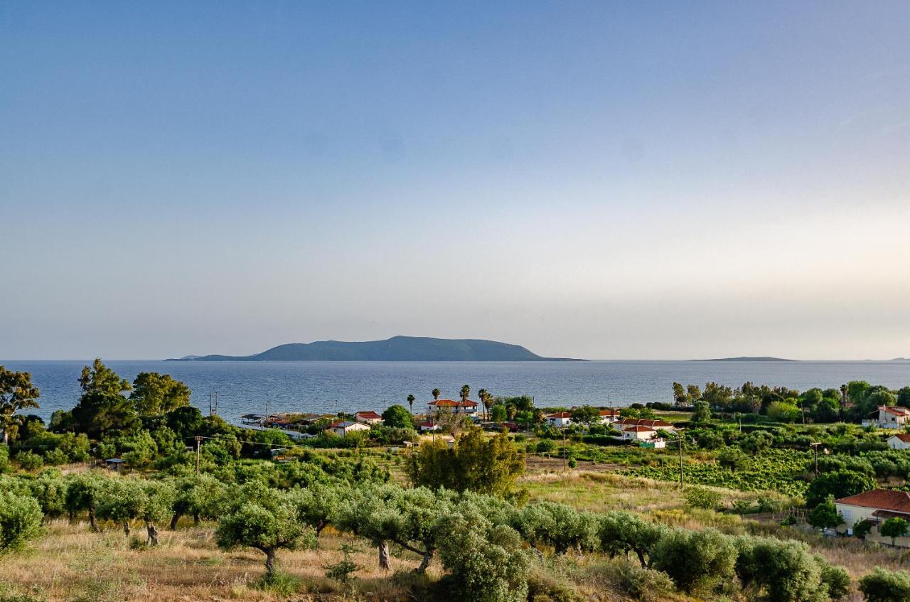Salandore Blue Φοινικούντα Εξωτερικό φωτογραφία